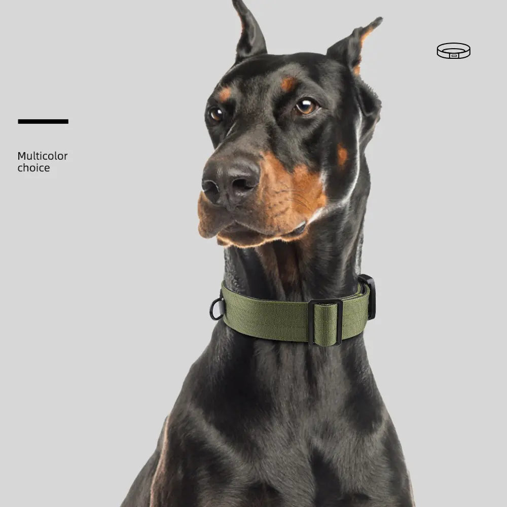 Adjustable Tactical Collar for Medium and Large Dogs
